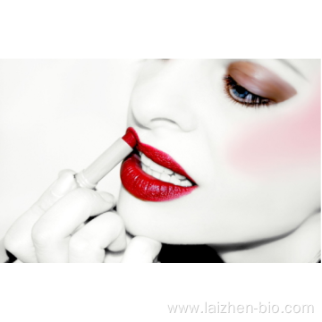 OEM Wholesale high quality colorful moist/matte lipstick